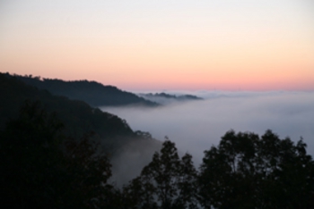 霧の写真a.JPG