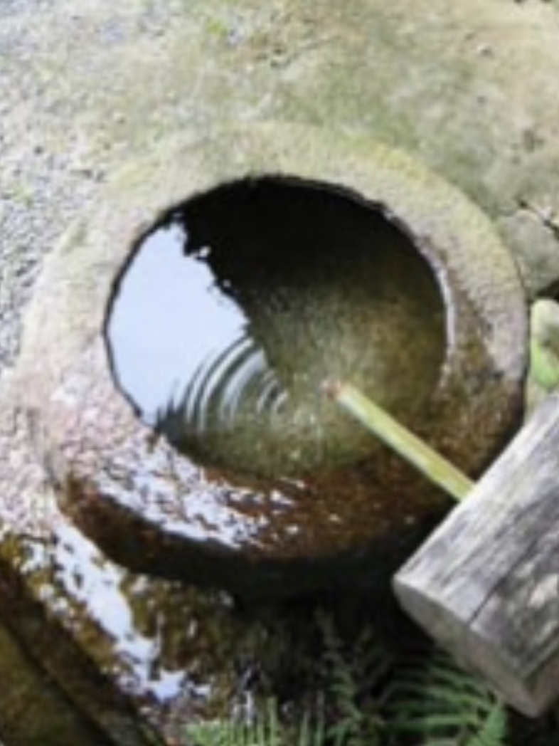 水の写真